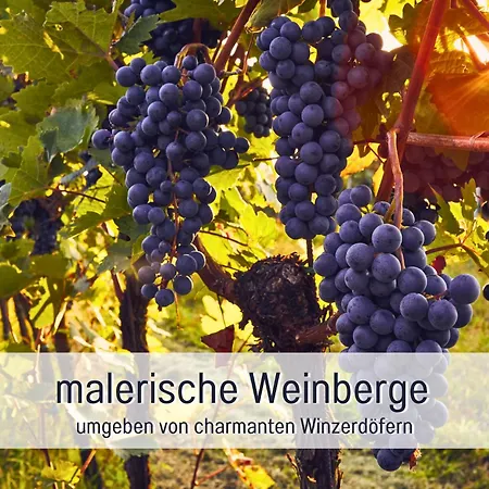Winetime - - Fuer Bis Zu 2 Personen - Zentral In Der Suedpfalz Nahe Landau Gelegen *