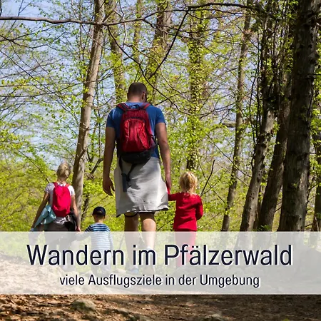 Winetime - - Fuer Bis Zu 2 Personen - Zentral In Der Suedpfalz Nahe Landau Gelegen Appartement Herxheim