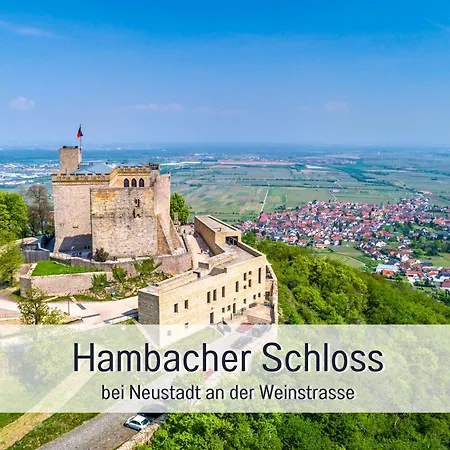 Winetime - - Fuer Bis Zu 2 Personen - Zentral In Der Suedpfalz Nahe Landau Gelegen شقة *