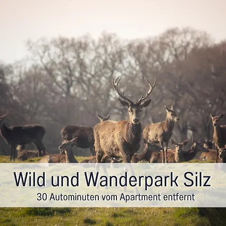 Appartement Winetime - - Fuer Bis Zu 2 Personen - Zentral In Der Suedpfalz Nahe Landau Gelegen Herxheim