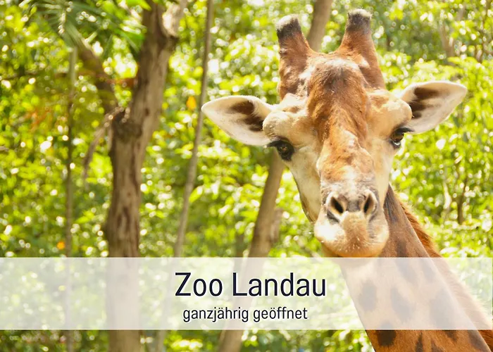 Winetime - - Fuer Bis Zu 2 Personen - Zentral In Der Suedpfalz Nahe Landau Gelegen شقة