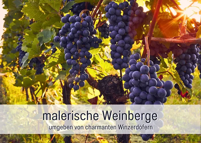 Winetime - - Fuer Bis Zu 2 Personen - Zentral In Der Suedpfalz Nahe Landau Gelegen *