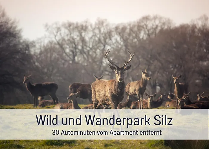 Apartamento Winetime - - Fuer Bis Zu 2 Personen - Zentral In Der Suedpfalz Nahe Landau Gelegen Herxheim